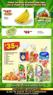 Cupones BODEGA AURRERÁ 23/08/2024 - 29/08/2024 folleto Tianguis De Mamá Lucha  página 3