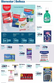 Sams Club ofertas 18/06/2024 - 15/07/2024 página 2