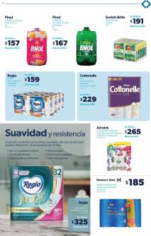 Sams Club ofertas 18/06/2024 - 15/07/2024 página 11
